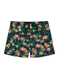 Шорты для плавания HOM Board Shorts Flamingo Beach Boxer, разноцветный