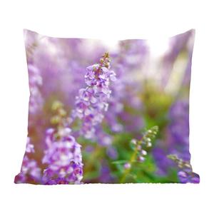 Декоративная подушка MuchoWow, диванная подушка, декоративная подушка для гостиной, 60 х 60 см, крупный план всей лаванды в поле - чехол на подушку - хлопчатобумажная ткань - декоративные наволочки