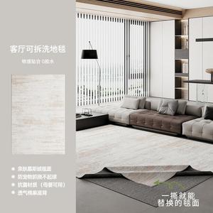 AOVOC Ковер 200х340 см съемный и моющийся для гостиной, из мхового бархата, с 10 мм подложкой