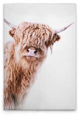 Картина на холсте A.S. Création Highland Cattle 2 цвет weissbraunbeige