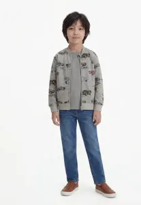 Толстовка nmmreiner nreg card bru box на молнии Name It, Grey Melange