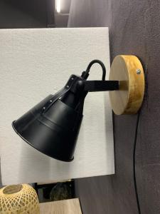 Globo lighting «GÜNTHER» в коричневом цвете