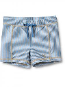 Шорты для плавания Wheat, светло-синий