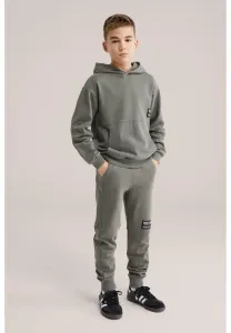 Спортивные штаны соленой собаки We Fashion, Olive Green