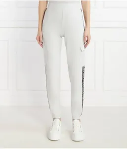 Спортивные штаны regular fit Ea7, пепельно-серый