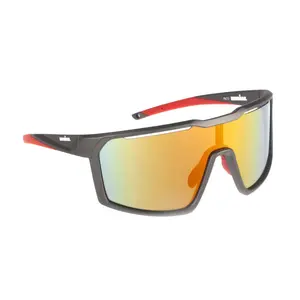 Мультиспортивные очки Bonaigua Ironman, серый/многоцветный