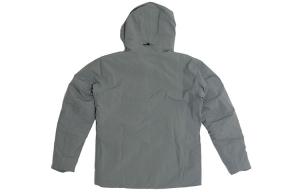 Arcteryx Пуховик зимний мужской, Silver Mouse Gray/Pyrite Heather
