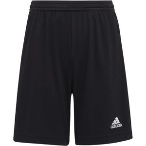 Team pants entrada 22 Adidas, черный