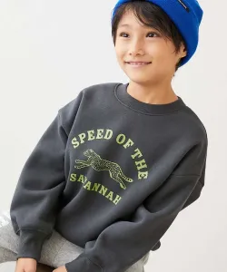 Толстовка Devil Lab Animal College на флисовой подкладке с крупным силуэтным принтом, сезон осень-зима 25 Devirock, цвет 003-Cheetah-Black