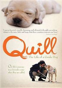 Диск DVD Quill: The Life Of A Guide Dog