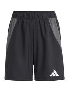 Обычные спортивные штаны ADIDAS PERFORMANCE Tiro, черный