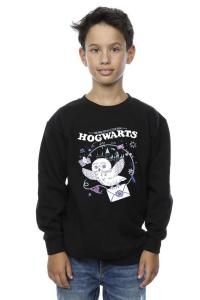 Толстовка с изображением совы «Письмо из Хогвартса» Harry Potter, черный