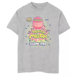 Футболка Charms Blow Pop What A Melon для мальчиков 8–20 лет с рисунком леденцов на палочке 48 штук Licensed Character