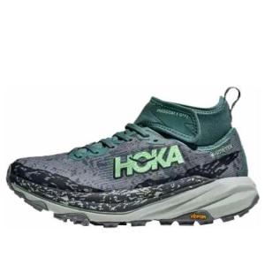Кроссовки (WMNS) HOKA ONE ONE Speedgoat 6 Gore-Tex 'Mountain Fog Droplet', серый