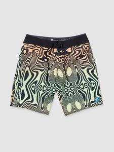 Пляжные шорты Volcom Fa F Rygalski Mod 18 Boardshorts, multi