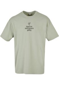 Футболка с принтом Justice Oversize Upscale by Mister Tee, цвет softsalvia