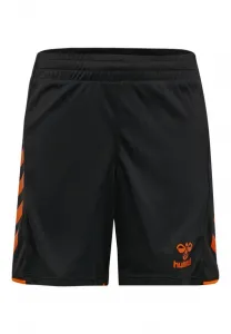 Спортивные штаны hmlcore 2.0 Hummel, Black Orange Tiger