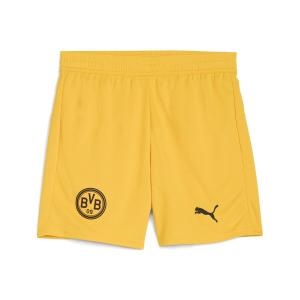 Обычные спортивные штаны PUMA Borussia Dortmund 25/26, желтый