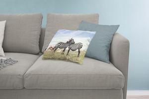 MuchoWow Декоративная подушка Диванная подушка Декоративная подушка для гостиной 60 x 40 см Зебры - Трава - Черный - Белый - Чехлы на подушки - Декоративные чехлы на подушки - Декоративные чехлы на подушки