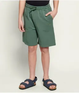 Шорты regular fit Aeronautica Militare, зеленый