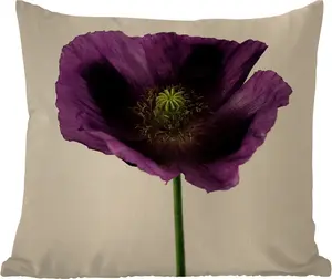 Подушка для улицы - Крупный план фиолетового мака - 50 x 50 см - Устойчива к погодным условиям - Подушка для отдыха - Удобная - Подушка с изображением MuchoWow