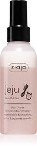 Несмываемый спрей-кондиционер для молодой кожи Jeju Ziaja, 125 мл