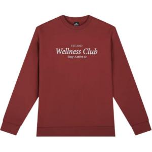 361° Толстовка Variety Training Collection для женщин, цвет Wine Wood Red