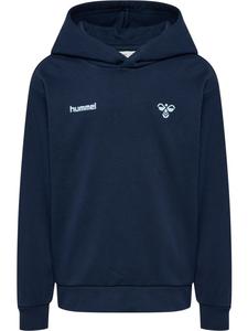 Hummel Детская толстовка "Graphic Hoodie" синего цвета