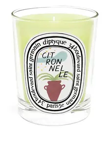 Свеча citronelle 190gr Diptyque, желтый