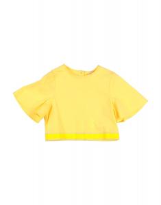 Топ Elisabetta Franchi, желтый