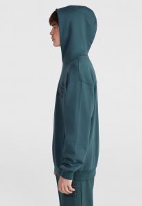 Толстовка с капюшоном THE FUTURE SURF SOCIETY O'Neill