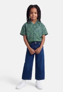 Блузка унисекс с коротким рукавом и пуговицами Lanvin, Green/Blue