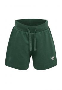 Шорты TRUE Hummel, темно-зеленый