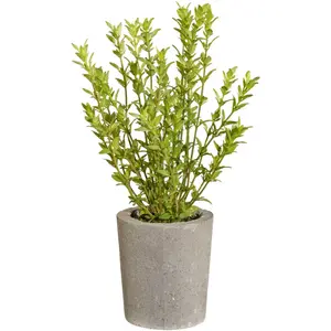 Креативное зеленое искусственное растение «Тимьян» Creativ Green, зеленый