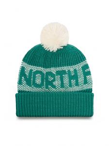 Шапка Retro Cabin NF0A88QW The North Face, зеленый