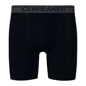 Мужские боксеры Icebreaker Anatomica 001