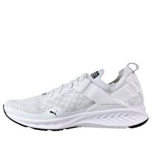 Кроссовки ignite evoknit lo 'white' Puma, белый