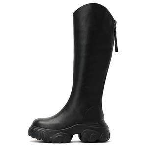 Женские сапоги DAPHNE высокие на платформе, черный