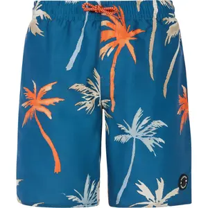 Детский купальник Brandon Protest, синий