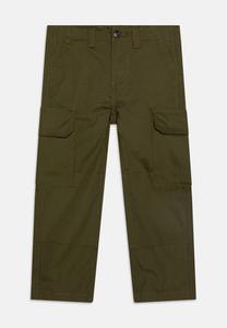 Брюки-карго MILLERVILLE UNISEX Dickies, хаки