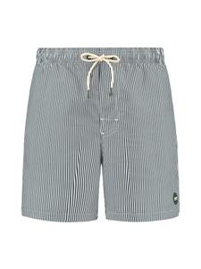 Пляжные шорты Shiwi Mike, Dark green