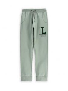 Спортивные брюки обычного кроя WC5122701VBB Coccodrillo, зеленый