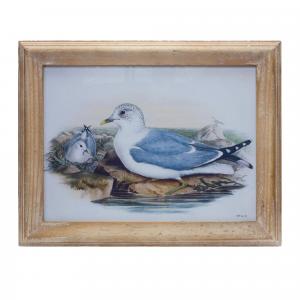 Картина Melrose International Sea Bird Print Under Glass, 42 см