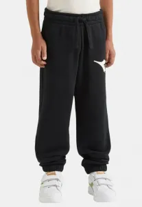 Спортивные брюки Diadora, Black