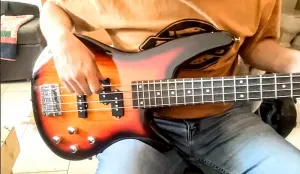 Unmarked "Eye Buzz" Bass Sunburst Неотмеченная электрическая бас-гитара «EyeBuzz» S Style + гриф из палисандра + кабель!