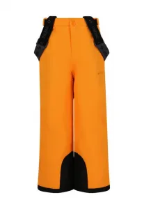 Снежные штаны прово Zigzag, Desert Sun