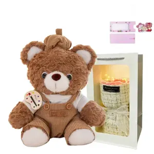 AOLETU Милый медвежонок Mocha, маленький белый кролик The Painter, плюшевые куклы мишки Teddy, высота 25 см