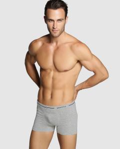 Мужской боксер Impetus Impetus, серый