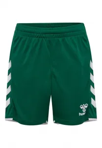 Спортивные штаны hmlcore 2.0 Hummel, Evergreen White