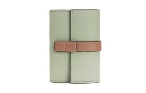 LOEWE Женский бумажник из телячьей кожи светло-зелёного цвета